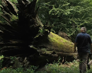 Annotation 2022 03 28 121200