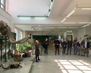 IMG 0140d21258651fe1b58bf6ef178bef17 V