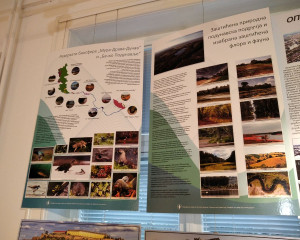 IMG 20211209 115151 1