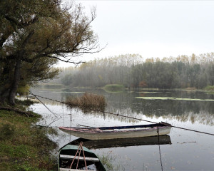 PP BEGECKA JAMA JESEN 2020. Fojkar O  8 