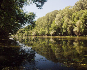 Pejsaz 8   Siroka bara