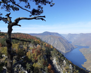 seminar upravljaca 6