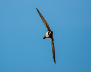 281473014 10224910020991997 3553971606643428929 n