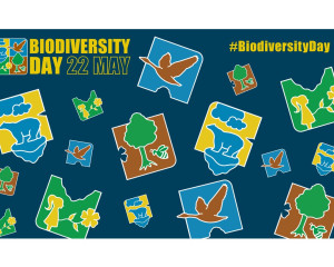 Annotation 2022 05 21 123324