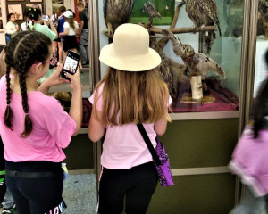 IMG 20220520 101440 1  1 