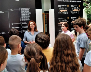 IMG da8ed33a67d13e99cc228a6e22318630 V