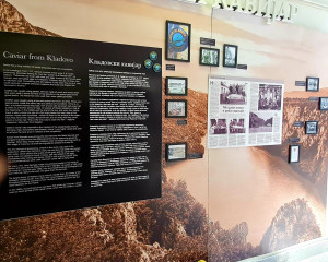 Izlo  ba KAVIJAR foto Novakovi   S  11 