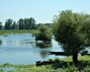 foto Oliver Fojkar  3 