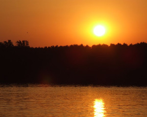 foto Oliver Fojkar  5 