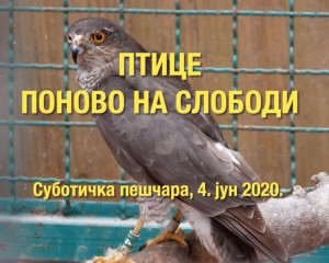 10. PTICE PONOVO NA SLOBODI 2020.