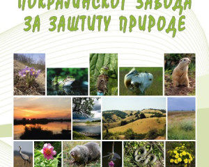 2. li  na karta Pzzp