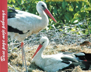 4. BELE RODE MOJE RAVNICE 1  Large 