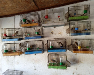 IMG 20230206 103718 1