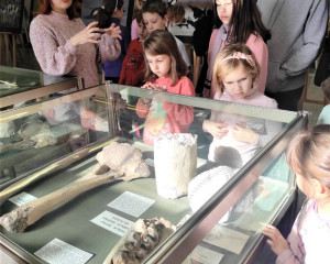 viber slika 2023 02 05 12 32 37 111