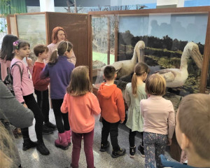 viber slika 2023 02 05 12 32 50 071