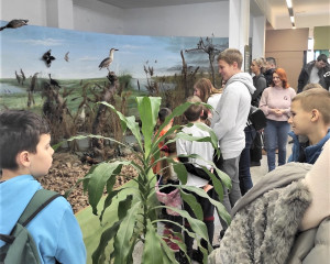 viber slika 2023 02 05 12 33 07 056