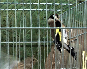 Screenshot 2023 02 09 152412