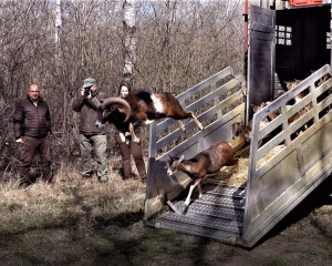 Screenshot 2023 03 15 133818