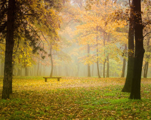 Jesen u Ko  utnjaku Autumn in Ko  utnjak