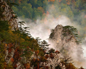 Kanjon Ra  e sa vidikovca Crnjeskovo  Nacionalni park Tara