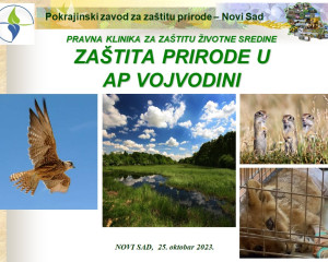 Screenshot 2023 10 30 130214