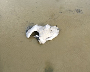 viber image 2023 11 29 15 10 08 590