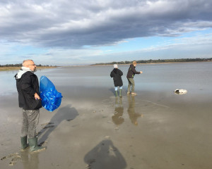 viber image 2023 11 29 15 10 08 937