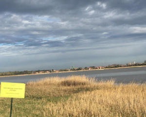 viber image 2023 11 29 15 10 10 099