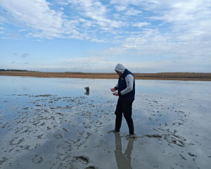 viber image 2023 11 29 15 11 34 581