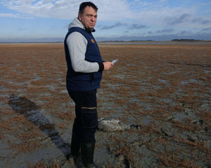 viber image 2023 11 29 15 11 35 135