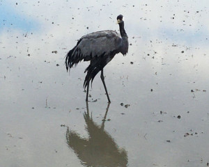 viber image 2023 11 29 15 11 39 139