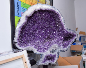 Poseta Maje Gojkovi    10 