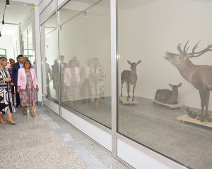 Poseta Maje Gojkovi    1 