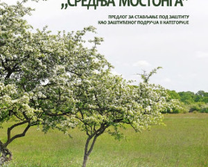 STUDIJA  PIO SREDNJA MOSTONGA