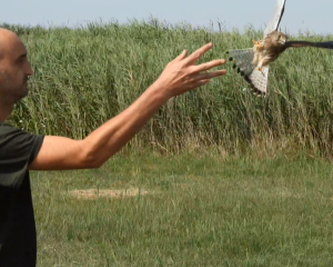 Screenshot 2024 07 29 110203