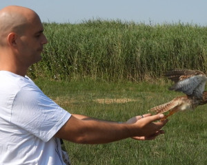 Screenshot 2024 07 29 110605