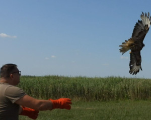 Screenshot 2024 07 29 111831