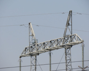 Stepski soko par In  ija gnezdo 05sep2024a