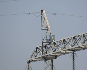 Stepski soko par In  ija gnezdo 05sep2024bJPG