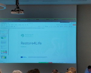 IMG 20240611 121903112