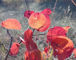 viber image 2024 10 17 15 08 53 508