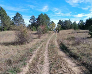 viber image 2024 10 22 14 08 38 266