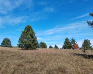 viber image 2024 10 22 14 08 38 319