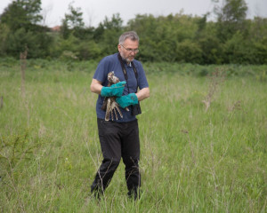 STEPSKI SOKO PZZP O  9 