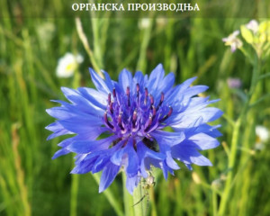 Screenshot 2026 01 27 084836