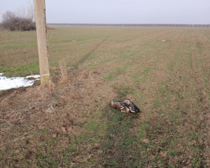 viber image 2026 01 26 09 53 58 812