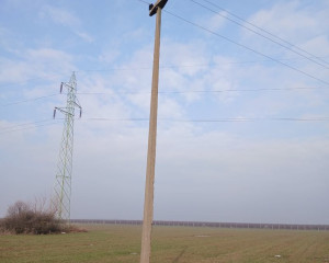 viber image 2026 01 26 09 53 58 858