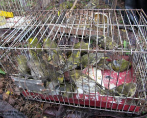 1012081 730734770309550 6449644211222097792 n