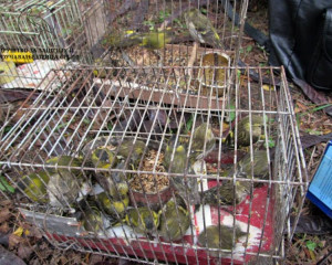 10356029 730734783642882 2791517758828556018 n