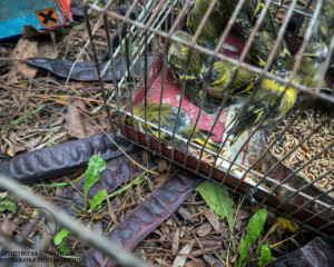 10390414 730735000309527 380157389516948555 n